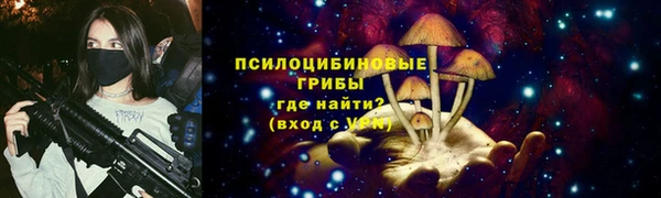 стаф Абдулино