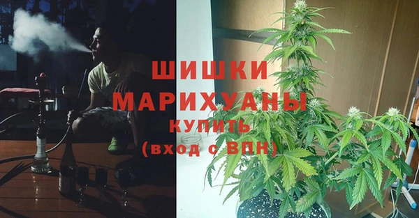 стаф Абдулино
