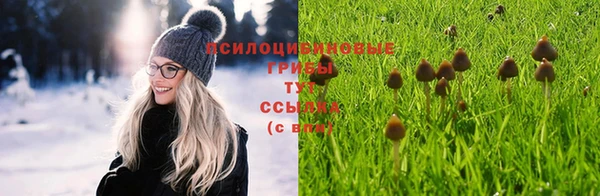 spice Абинск